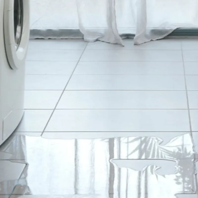 Appliance Leak Cleanup in Gramercy, LA