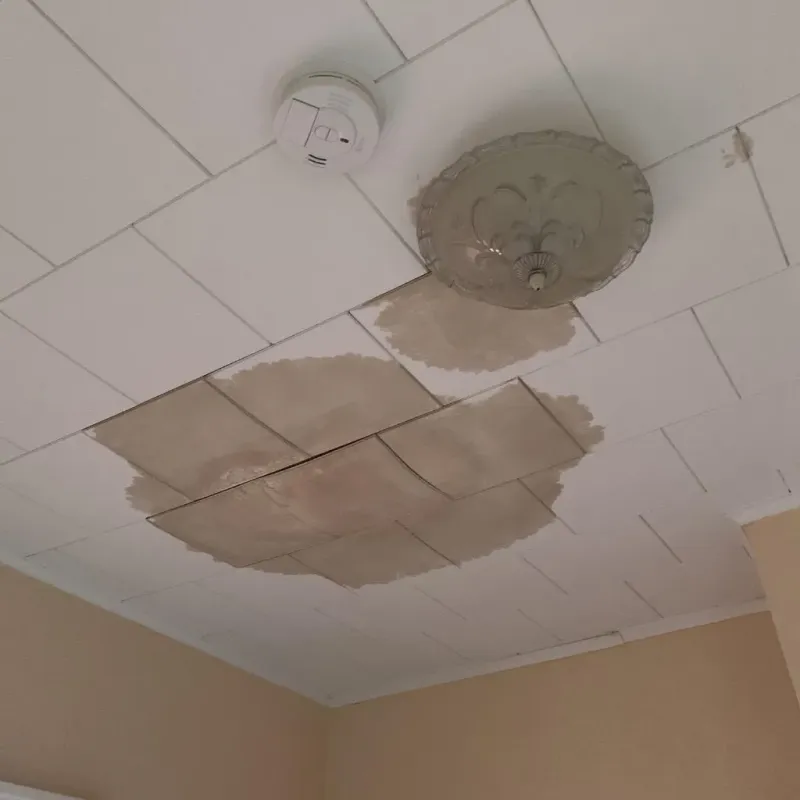 Ceiling Water Damage Repair in Gramercy, LA